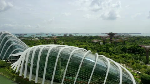 Drone Aerial view 4k Footage Of Gardens By The Bay, Flying Towards Skyline Singa Stock-Footage 242585141