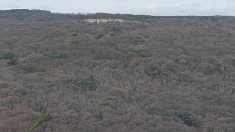 Drone Aerial View Above Endless Forest Landscape During Calm Spring Daytime Vidéo 332773341