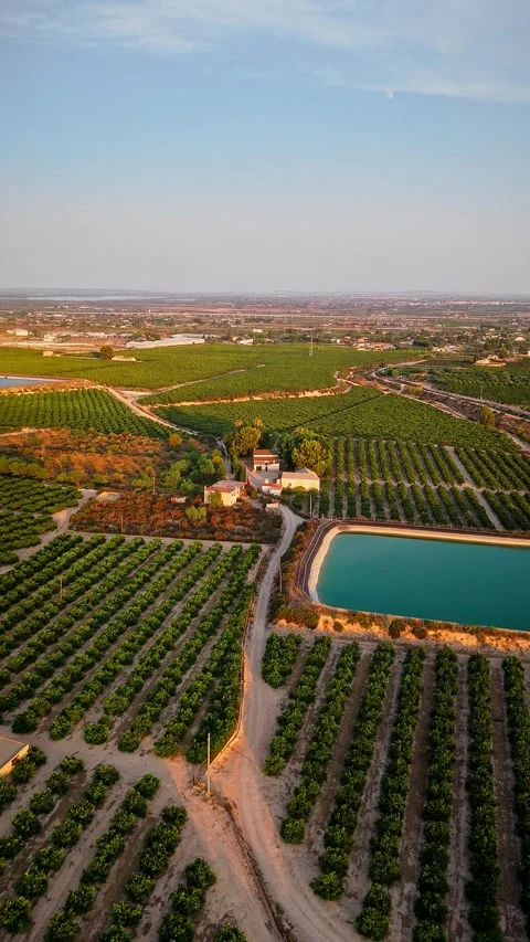 Drone Aerial View of Agricultural Fields with Irrigation Ponds in Spain Stock Footage 314607657