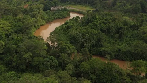 Drone aerial view of Amazon River Aerial. Concept of ecology, environment, Stock Footage 163258586