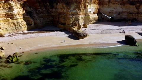 Drone Aerial view of the beach Stock Footage 228781931