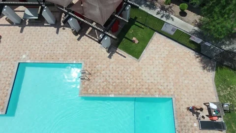 Drone aerial view of blue swimming pool surrounded by palm trees Stock Footage 343697152