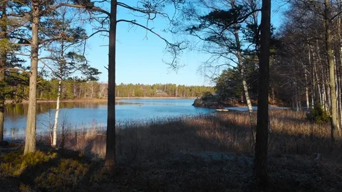 Drone aerial view camera track forward from tree branches toward beautiful lake Stock Footage 104511487