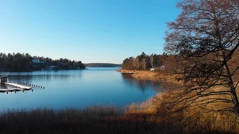 Drone aerial view camera track back from inside a river to trees and fly high Stock Footage 104535754