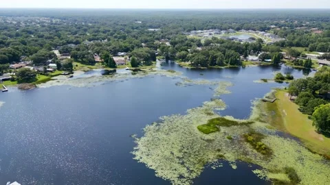 Drone Aerial view Deer Run Preserve Tampa Lake Lutz, FL Stock Footage 198226384