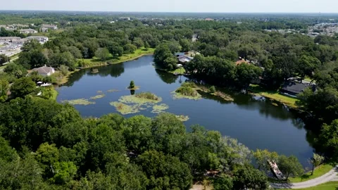 Drone Aerial view Deer Run Preserve Tampa Lake Lutz, FL Stock Footage 198226532