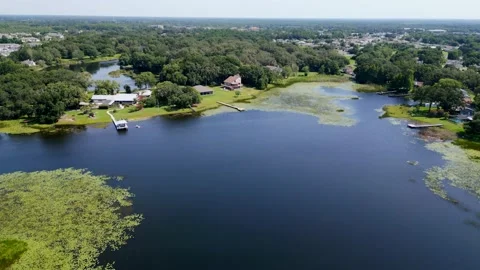 Drone Aerial view Deer Run Preserve Tampa Lake Lutz, FL Vídeos de archivo 198226535