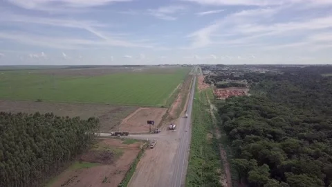 Drone aerial view of eucalyptus and soy plantation on sunny summer day on farm. Stock Footage 148537581