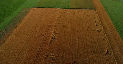 Drone aerial view of farming fields in Slovenia Video stock 145463295