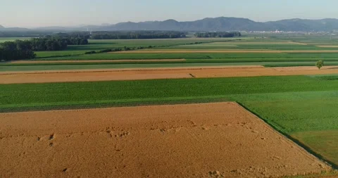 Drone aerial view of farming fields in Slovenia Stock Footage 145463428