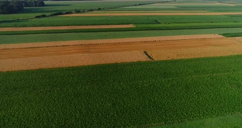 Drone aerial view of farming fields in Slovenia Stock Footage 145463429