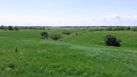 Drone. Aerial view. Flight over the green ravine Stock Footage 128711691