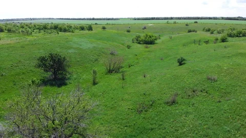 Drone. Aerial view. Flight over the green ravine Stock Footage 128711693