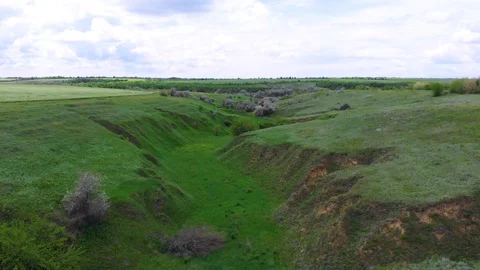 Drone. Aerial view. Flight over the green ravine Stock Footage 128711732