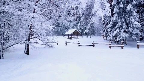 Drone aerial view flying between trees towards little house in winter Stock Footage 102375317