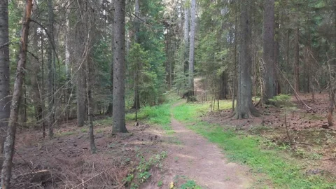 Drone Aerial View Flying Low Along Dirt Hiking Trail Path in Bijambare Vídeos de archivo 343674627
