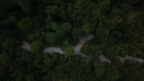 Drone Aerial View Flying Nadir (Top-Down) Over Forest Canopy and Winding Path 스톡 동영상 343672962