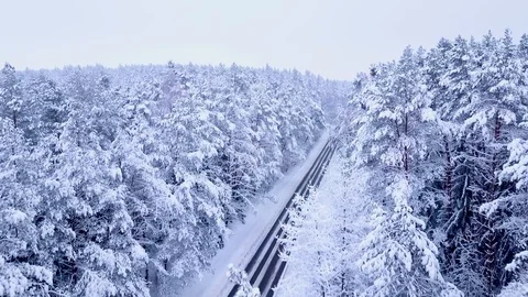 Drone aerial view flying over the trees and road in winter Stock Footage 102375296