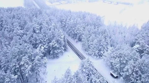 Drone aerial view flying over the trees and road in winter Stock Footage 102375347