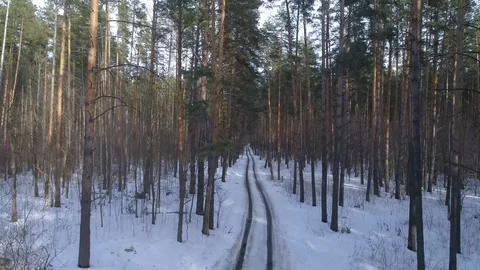 Drone aerial view flying over trees. Winter Stock Footage 123998623