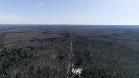 Drone aerial view flying over trees. Winter Stock Footage 123999110