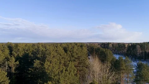 Drone aerial view flying over trees Stock Footage 123999775