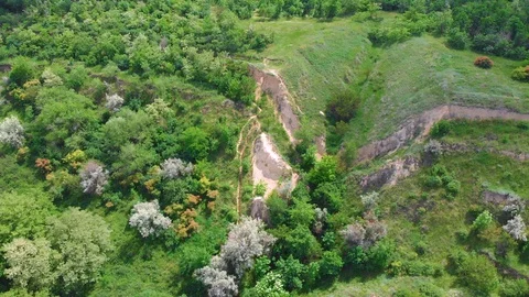 Drone. Aerial view. Flying over the green ravine Stock Footage 128711734