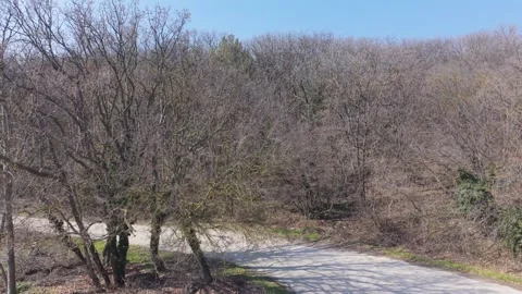 Drone Aerial View Flying Over Autumn Forest Trees Landscape 스톡 동영상 330289406