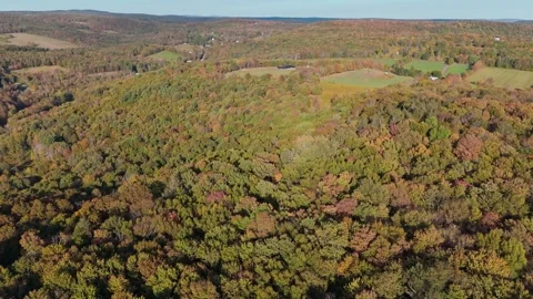 Drone aerial view of a forest edge surrounded by farmland Stock Footage 317362801