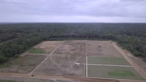 Drone aerial view of forest trees and large deforested area in amazon rainforest Vidéo 232724730