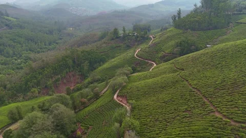 Drone aerial view of Gap Road through tea plantations in Munnar Kerala India Stock-Footage 332690722