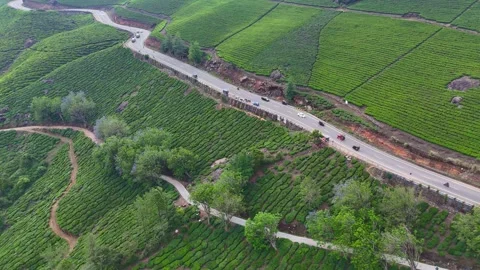 Drone aerial view of Gap Road through tea plantations in Munnar Kerala India 스톡 동영상 332690738