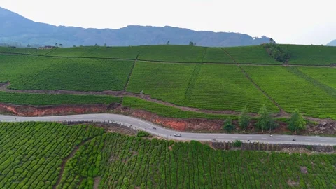 Drone aerial view of Gap Road through tea plantations in Munnar Kerala India 스톡 동영상 332690803