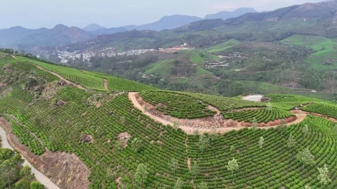 Drone aerial view of Gap Road through tea plantations in Munnar Kerala India 스톡 동영상 332691304