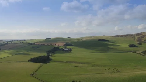 Drone aerial view of green fields and cows and sheeps 库存影片 127802012