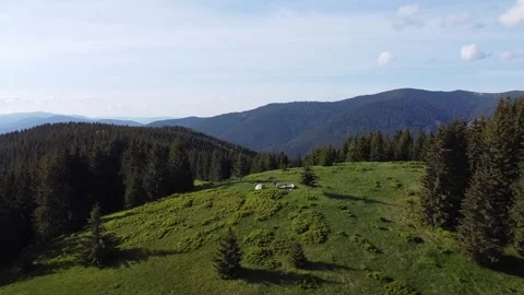 Drone Aerial View of Green Mountain Meadow Surrounded by Forest in Summer Stock Footage 342925151