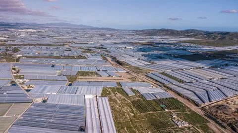 Drone aerial view of the greenhouses in the region of Andalusia  spain . Stock Photos