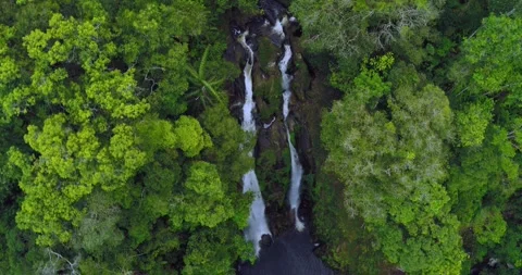 Drone Aerial View of Hidden Waterfall in Tropical Jungle Forest Video stock 334162695