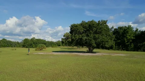 Drone Aerial view Jay B. Starkey Wilderness Park Pasco County FL Stock Footage 199438906
