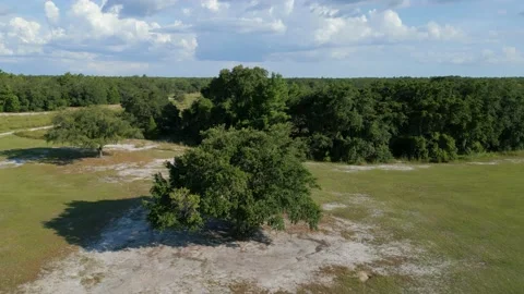 Drone Aerial view Jay B. Starkey Wilderness Park Pasco County FL Stock Footage 199438978