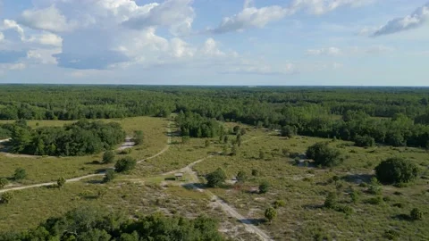 Drone Aerial view Jay B. Starkey Wilderness Park Pasco County FL Stock Footage 199438981