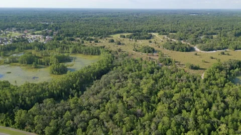 Drone Aerial view Jay B. Starkey Wilderness Park Pasco County FL Stock Footage 199439163