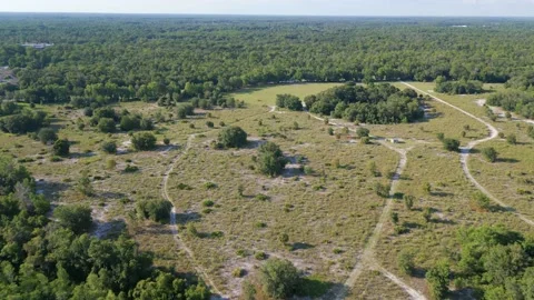 Drone Aerial view Jay B. Starkey Wilderness Park Pasco County FL Stock Footage 199439175