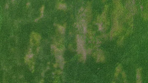 Drone Aerial View Labuh Banting Coastal Grassland Scenery Vídeo Stock 329356452