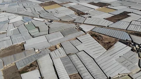 Drone Aerial View Of A Large Area Filled With Greenhouses In A Sunny Day Stock Footage 195795057