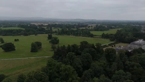 A drone aerial view of a large field and trees Stock Footage 328536323