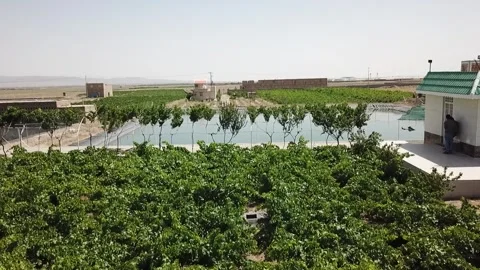 Drone aerial view of a large rectangular agricultural irrigation pond with green 스톡 동영상 307792032