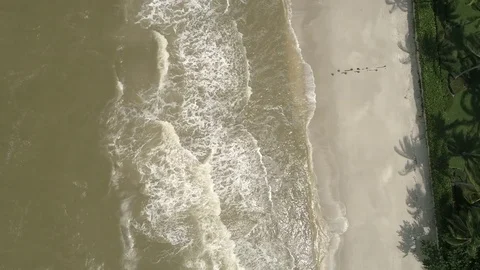 Drone aerial view looking straight down of naples beach florida Stock Footage 84704896