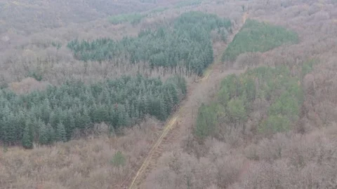 Drone aerial view of mixed forest patches and surrounding winter landscape Stock Footage 323322172