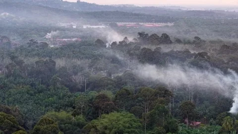Drone aerial view of open burning over tropical forest Stock Footage 337984652